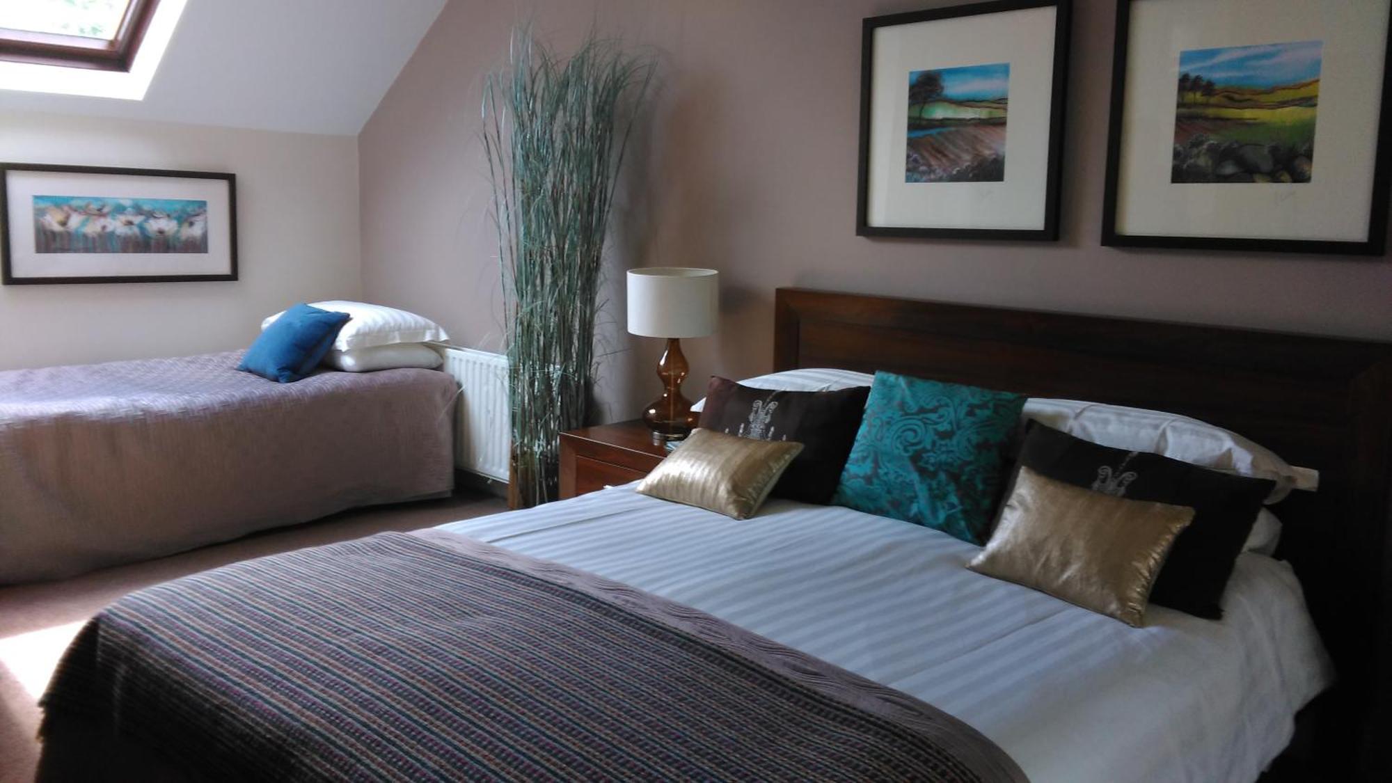 Ballinwillin House ミッチェルズタウン 部屋 写真